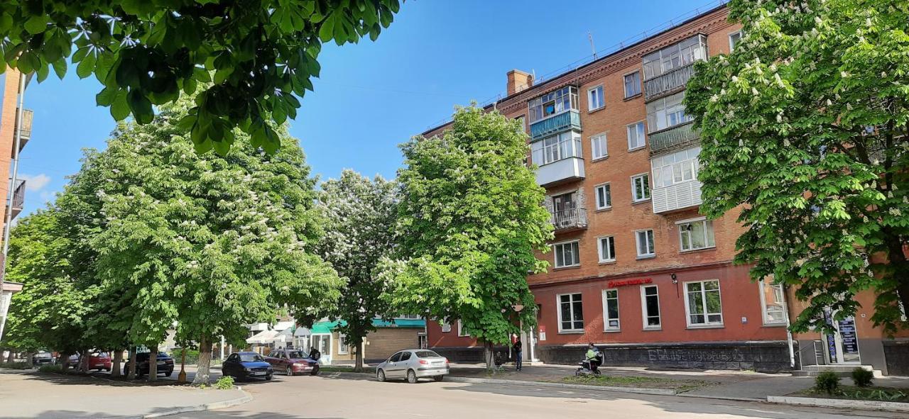 Квартира Біля Центральної Площі Перспективна 22 Apartman Olekszandrija Kültér fotó
